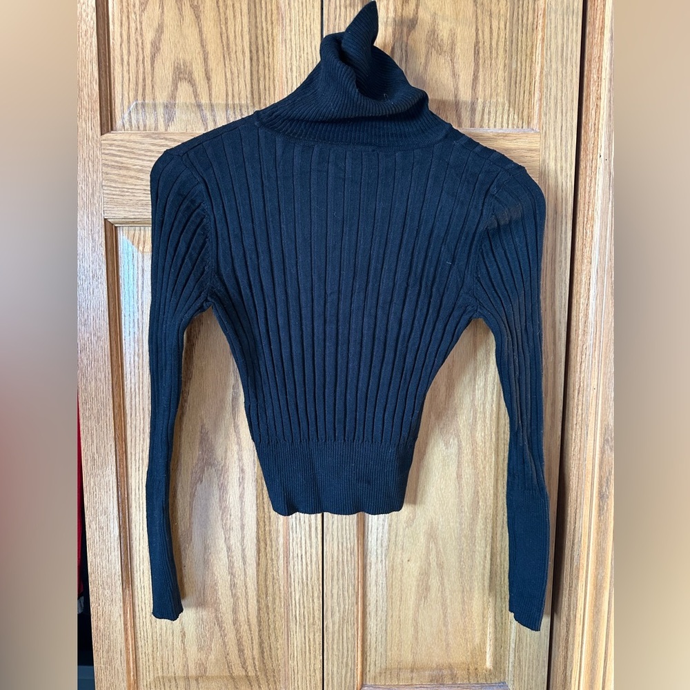 Zara cropped ribbed black turtleneck sweater